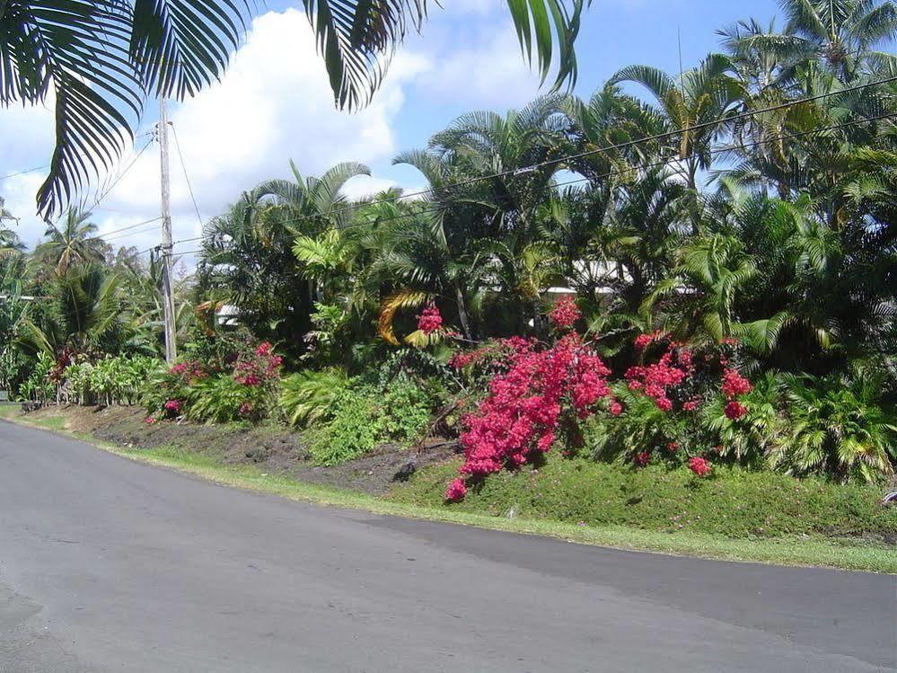 Aaron'S Cottage Hilo Kültér fotó